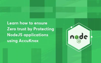 Runtime protection of NodeJS applications using AccuKnox